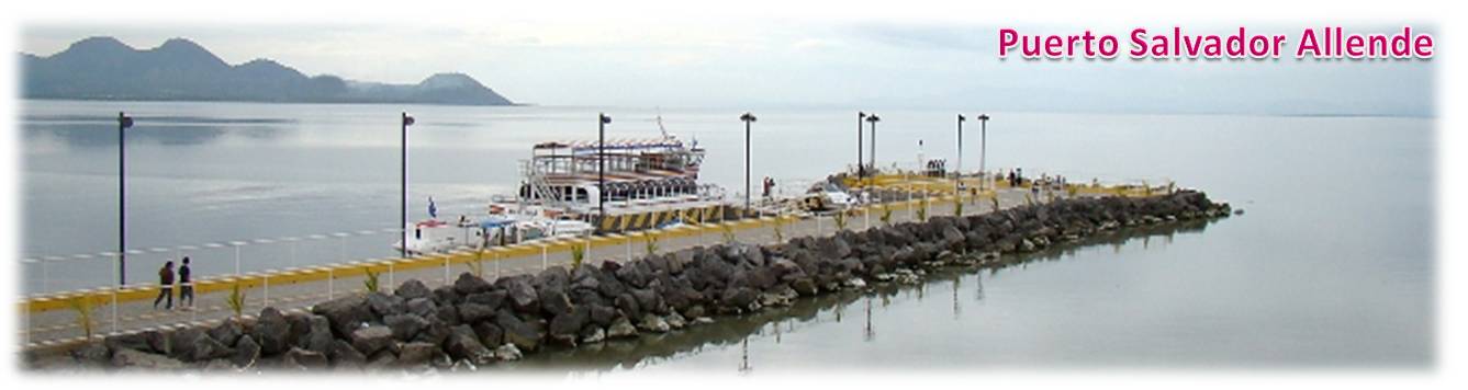 Salvador Allende Port
